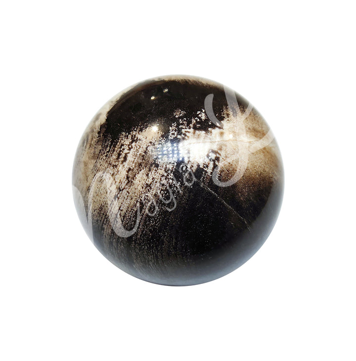 Sphere Petrified wood