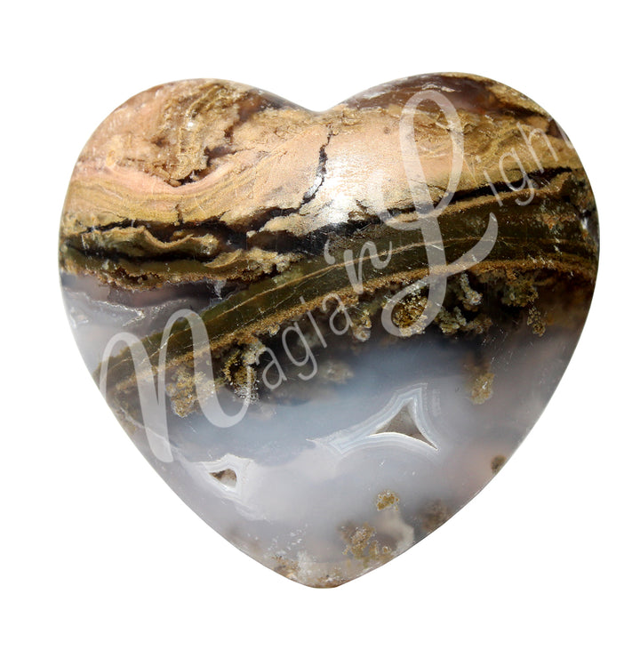 Corazón de Opalizado Madera Petrificada 2″