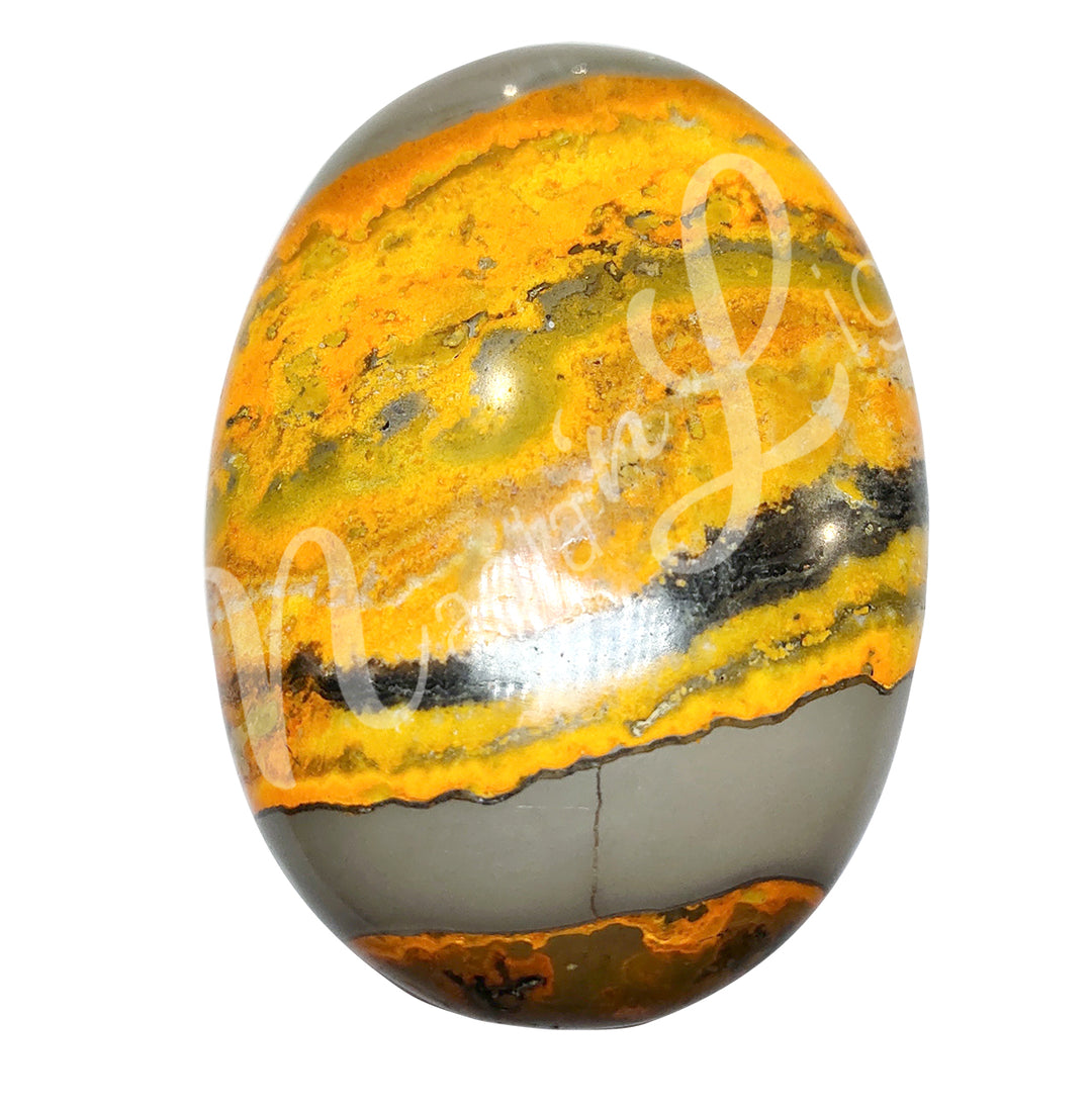 Palm Stone Bumble Bee Jasper