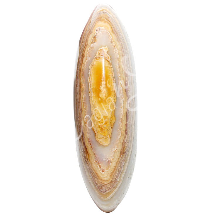 PALM STONE JASPER, DESERT 2.5-3″