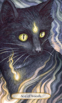 Soul Cats Tarot