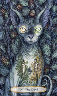 Soul Cats Tarot