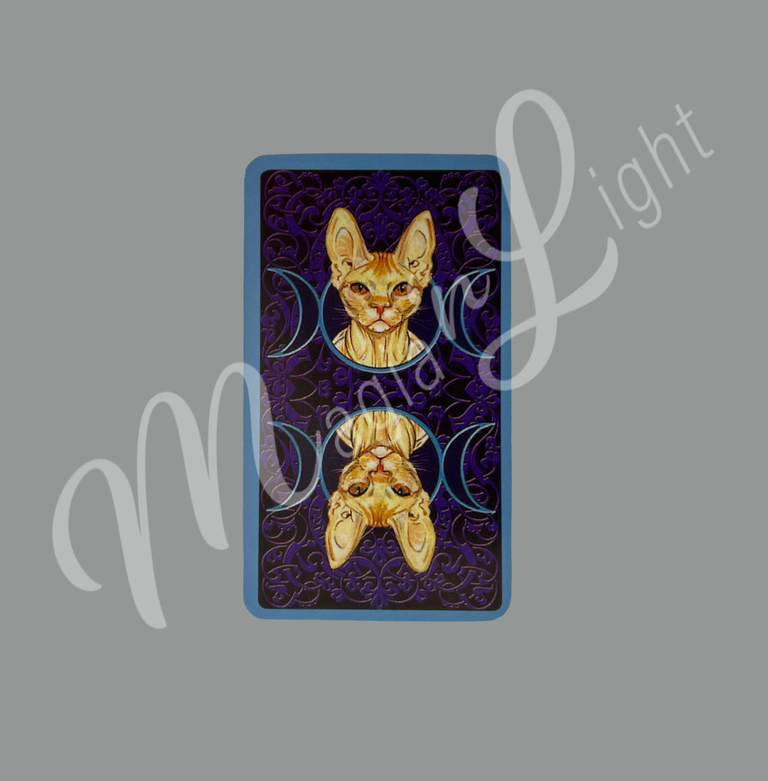 Tarot of Pagan Cats