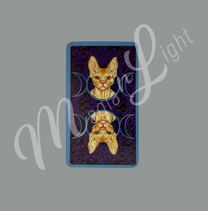 Tarot of Pagan Cats