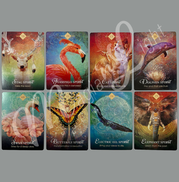 The Spirit, Animal Oracle