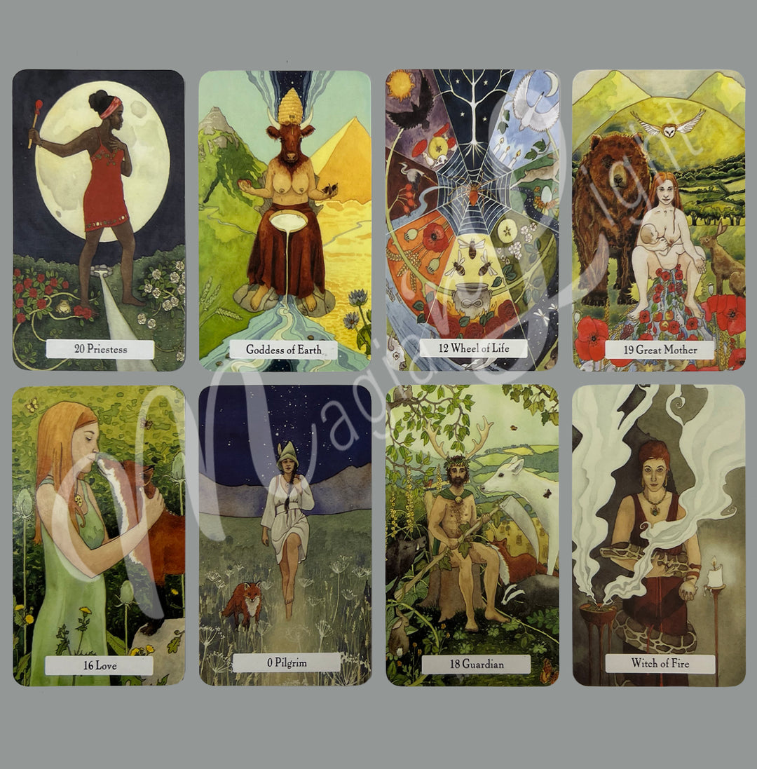 The Witches' Wisdom Tarot